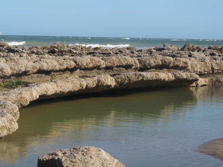 Le Gris-Nez, Cap Gris-Nez (Frankrijk)